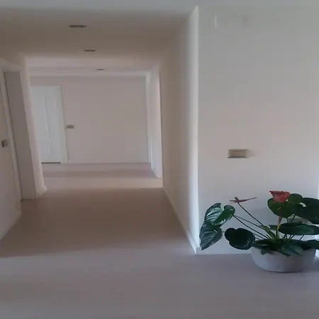 Apartment 103327 2 Bedroom By Mo